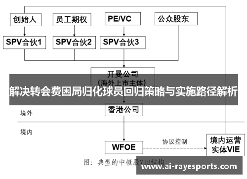 解决转会费困局归化球员回归策略与实施路径解析